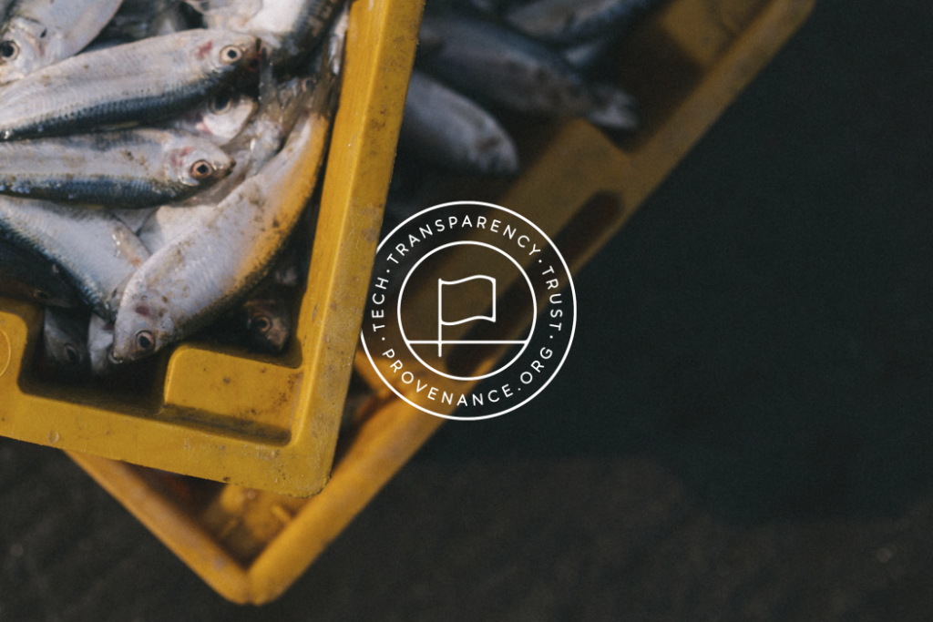 Provenance-Marque-Fish-1050x700