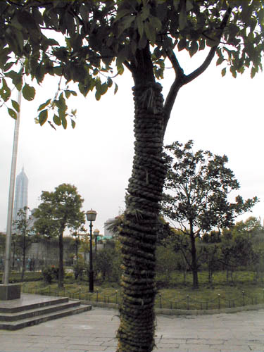 Trees not escaping