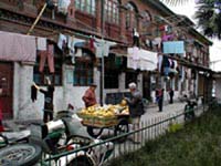 Man selling bananas