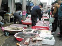 Fish market