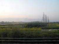 From the train window