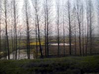 View from the train