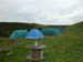 3834_tents