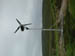 3874_windTurbine