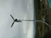3875_windTurbine