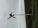 3878_windTurbine