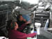 3936_research