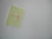 4023_moths