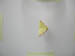 4024_moths