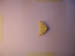 4025_moths