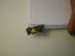 4031_moths