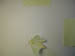 4032_moths