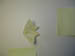 4033_moths