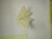 4036_moths