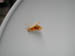 4061_moths