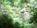 4099_blur