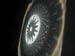 DSCN4863