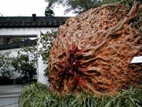 Tree sculpture